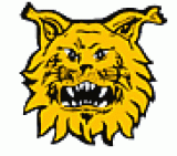 Ilves Tampere